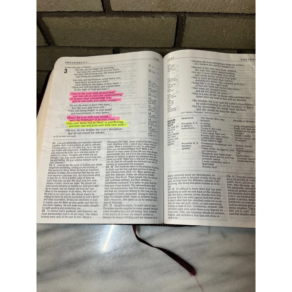 Zondervan Life Application Bible NIV Large Print Burgundy Bonded Leather